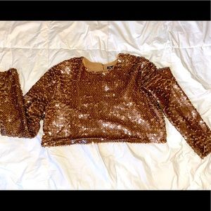 Zara sequin crop top